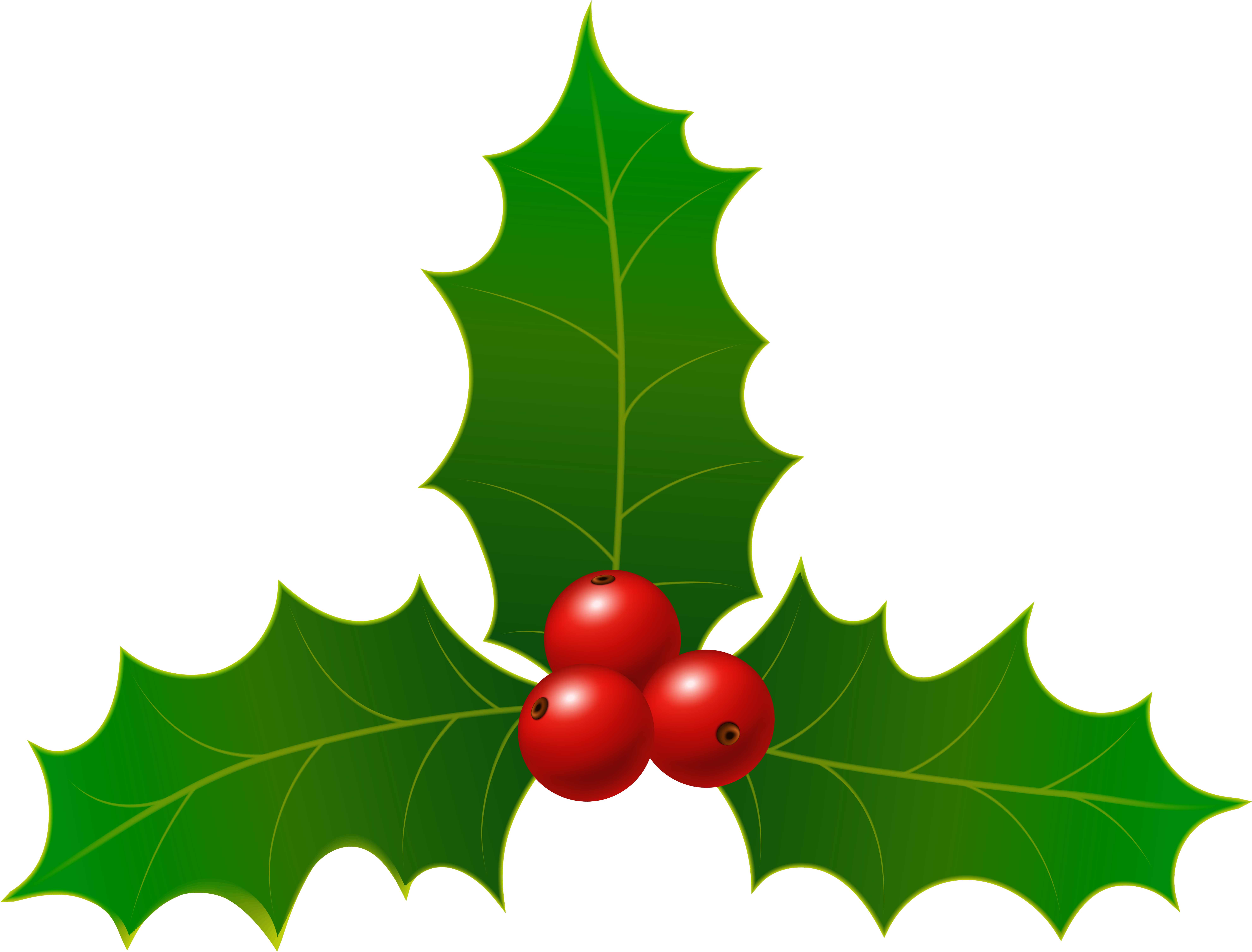 Christmas Holly Clip Art Image (8000x6121), Png Download