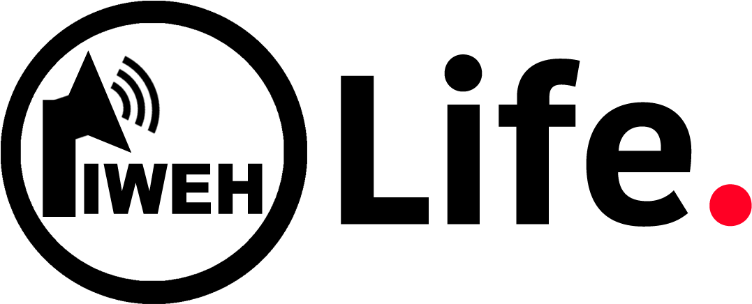 Fiweh Life - Speaker Icon (1200x511), Png Download
