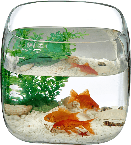 Mono Box - Aquarium (540x660), Png Download