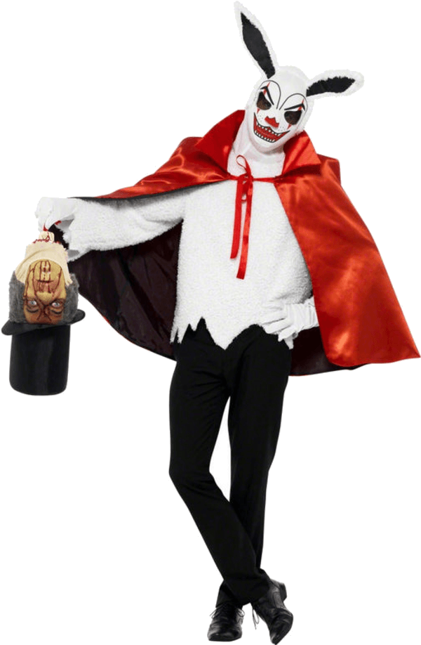 Magician Bunny Halloween Costume (600x951), Png Download