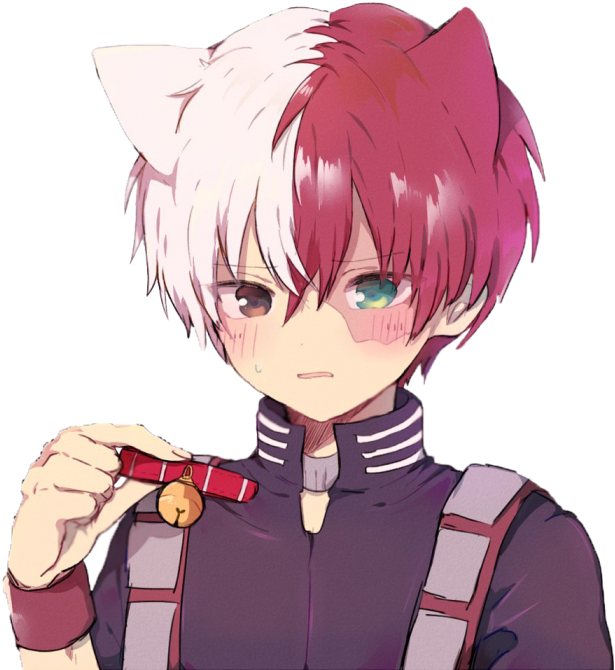 #bnha #boku No Hero Academia #shoto #todoroki #cat - Todoroki Cat (700x697), Png Download