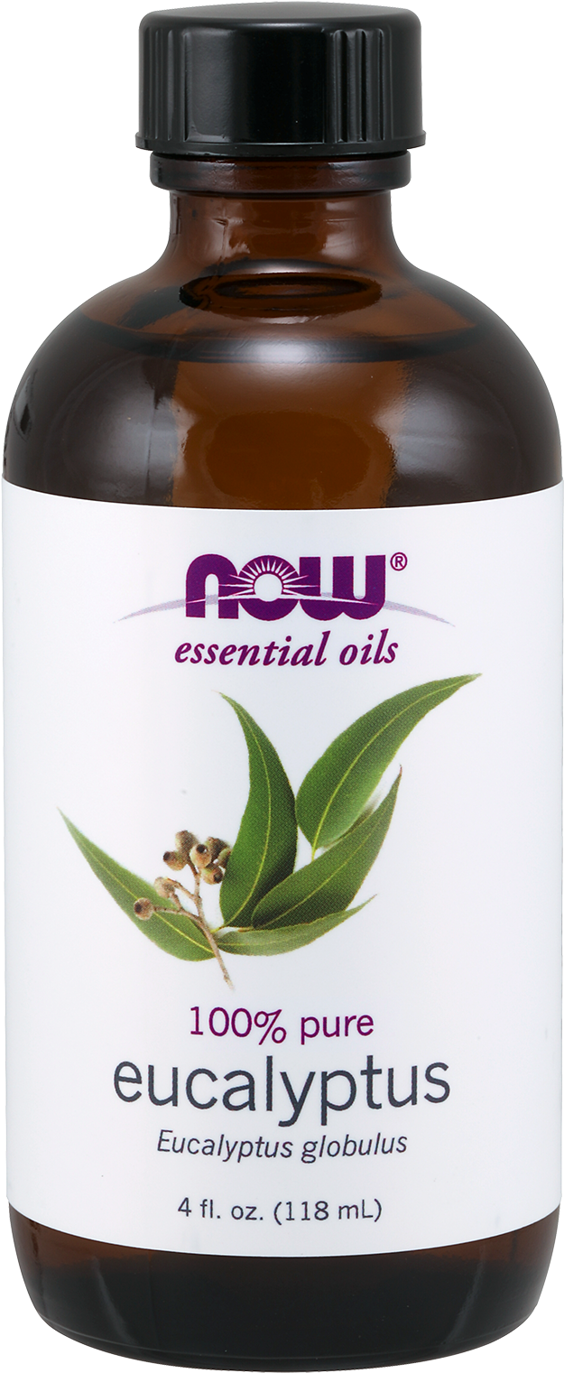 Now Eucalyptus Oil - Essential Oil Eucalyptus (1600x1600), Png Download