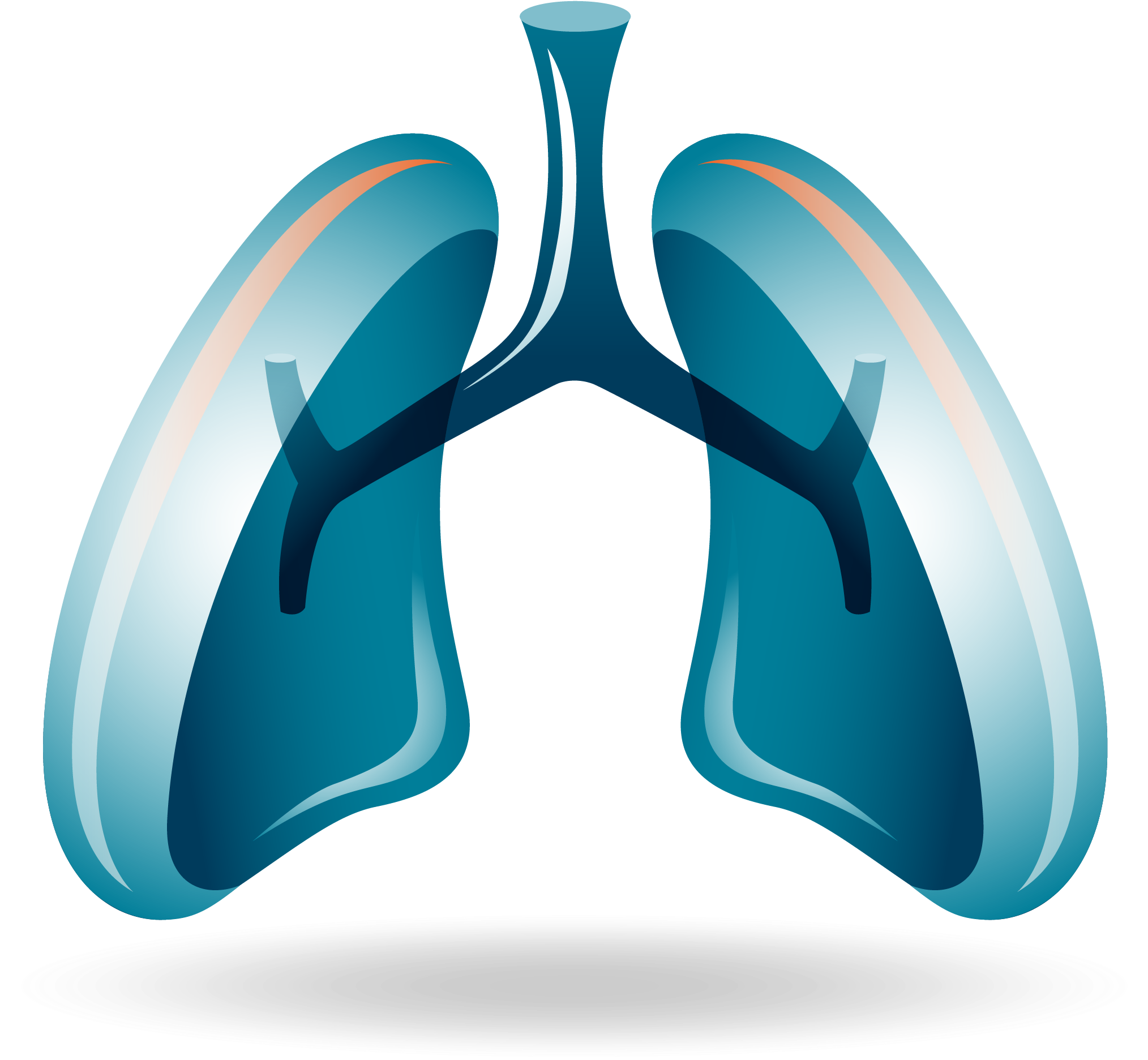 Cell Lung Non-small Nivolumab Cancer Png Free Photo - Opdivo Lung Cancer (2304x1888), Png Download