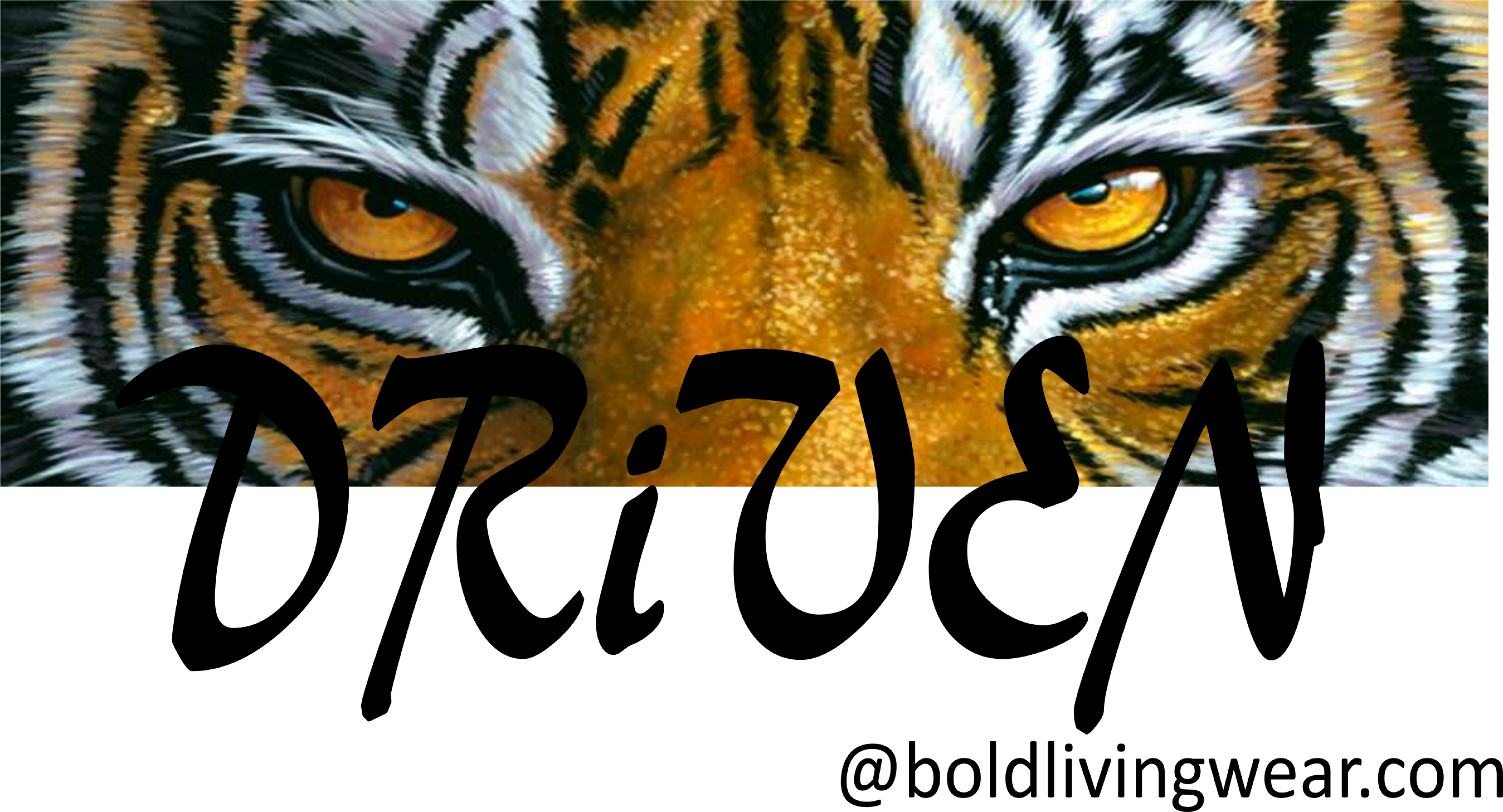 S769520350182633219 P66 I4 W2560 - Hahnville High School Mascot (4738x2560), Png Download