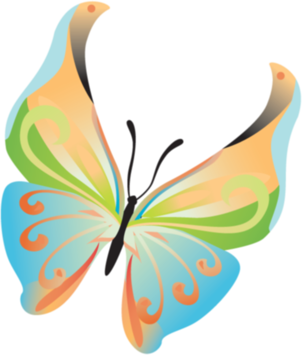 Image Du Blog Zezete2 - Lepidoptera (600x705), Png Download