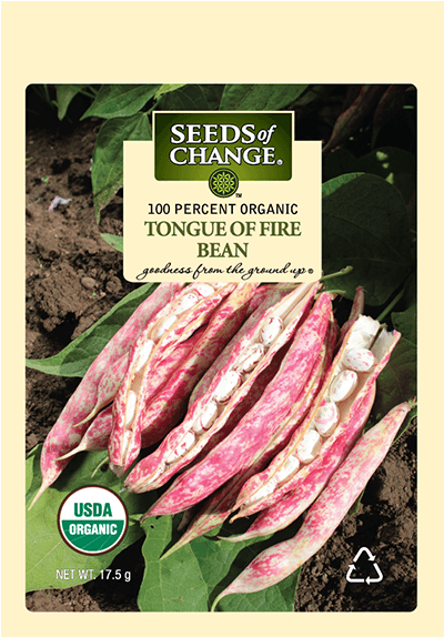 Organic Tongue Of Fire Dry Soup Bean Seeds - Organic (573x573), Png Download
