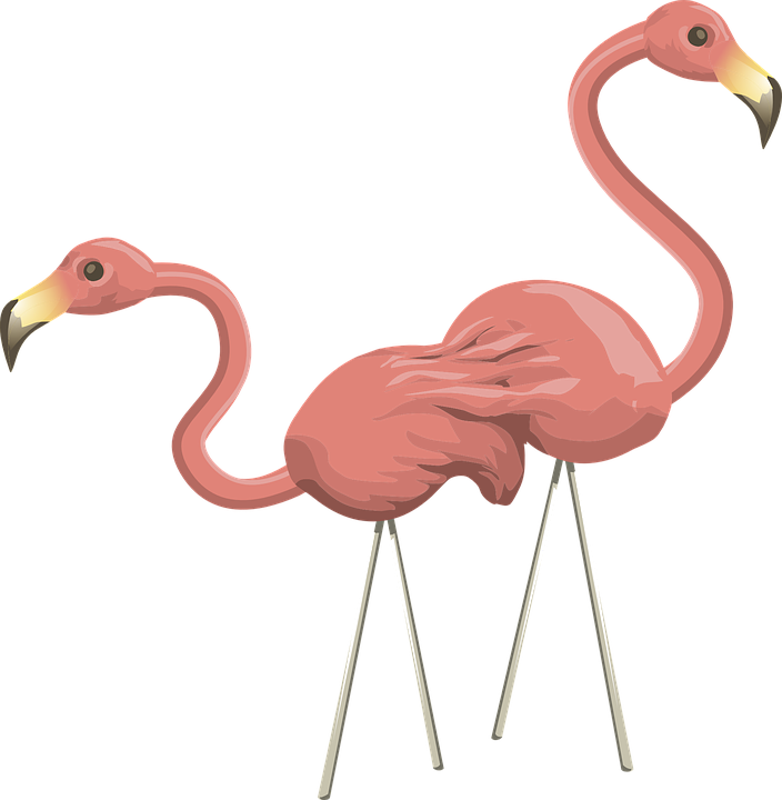Flamingos, Pink, Birds, Wildlife, Two, Pair - การ์ตูน นก ฟ ลา มิ ง โก้ Png (704x720), Png Download