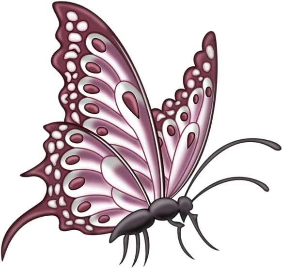 Image Du Blog Zezete2 - Pink Butterfly Side (600x581), Png Download