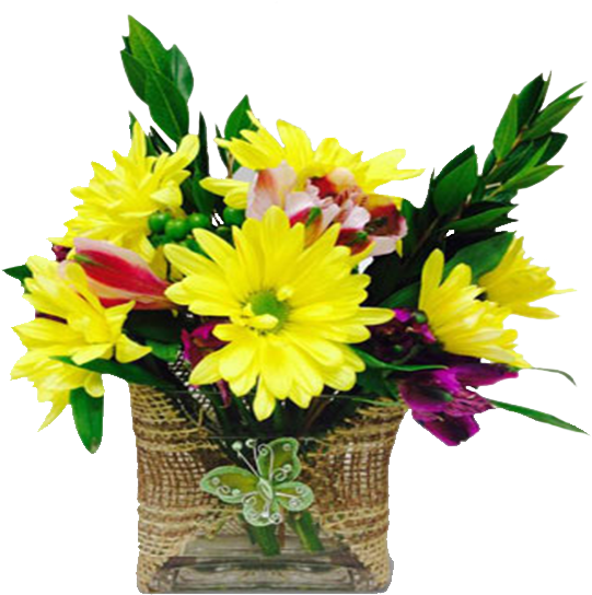 Sweet Butterfly - Bouquet (600x600), Png Download