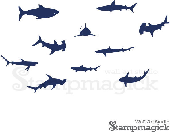 Shark (600x600), Png Download