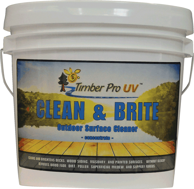 Clean & Brite - Bee (800x779), Png Download