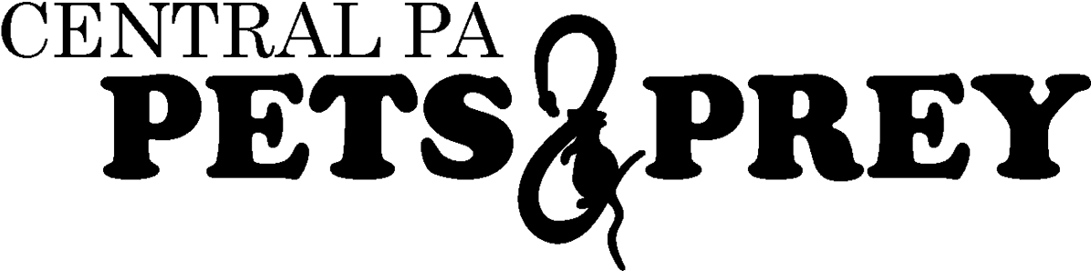 This Is An Alternate Logo For Things Like Social Media - Love (1200x307), Png Download