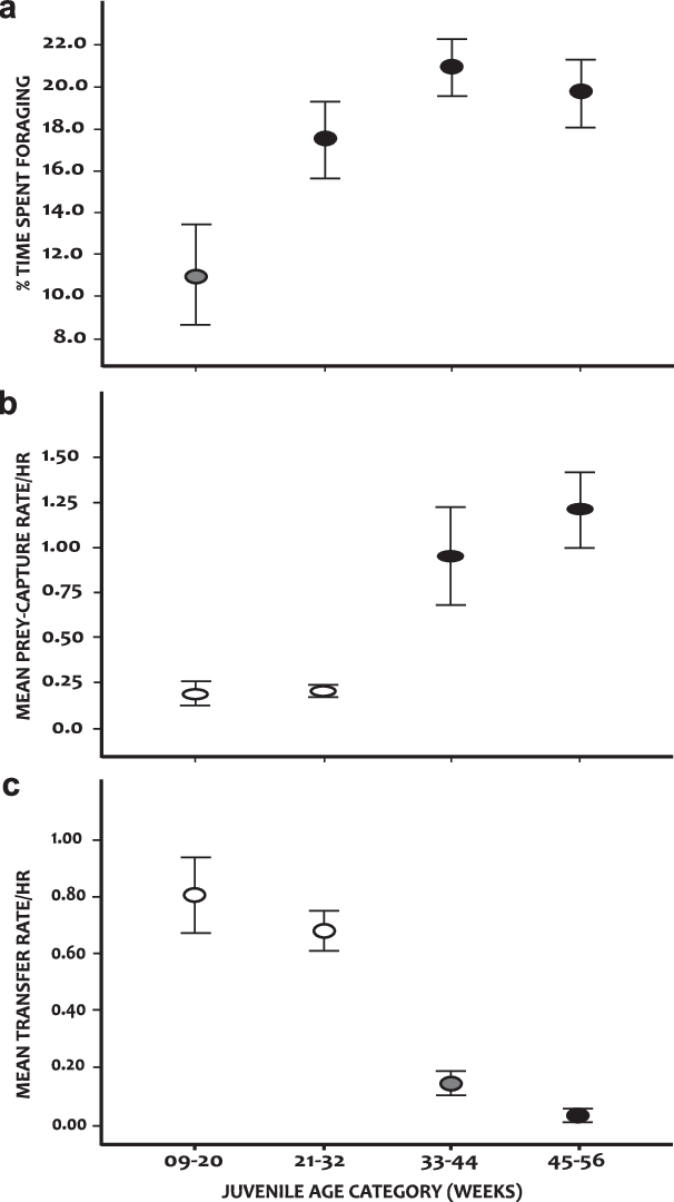 Development Of Prey Acquisition - Number (606x1080), Png Download