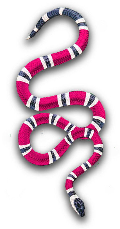 Sea Snake (391x750), Png Download