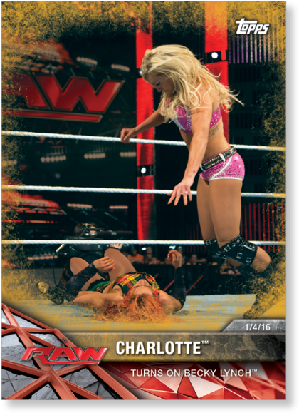 Charlotte 2017 Wwe - Boxing (700x700), Png Download