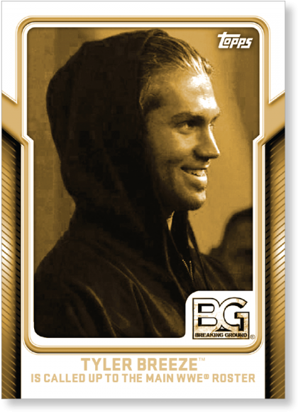 Tyler Breeze - Wwe (700x700), Png Download