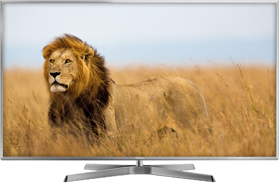 Pana Tv Ex750 - Safari Adventure (1080x675), Png Download