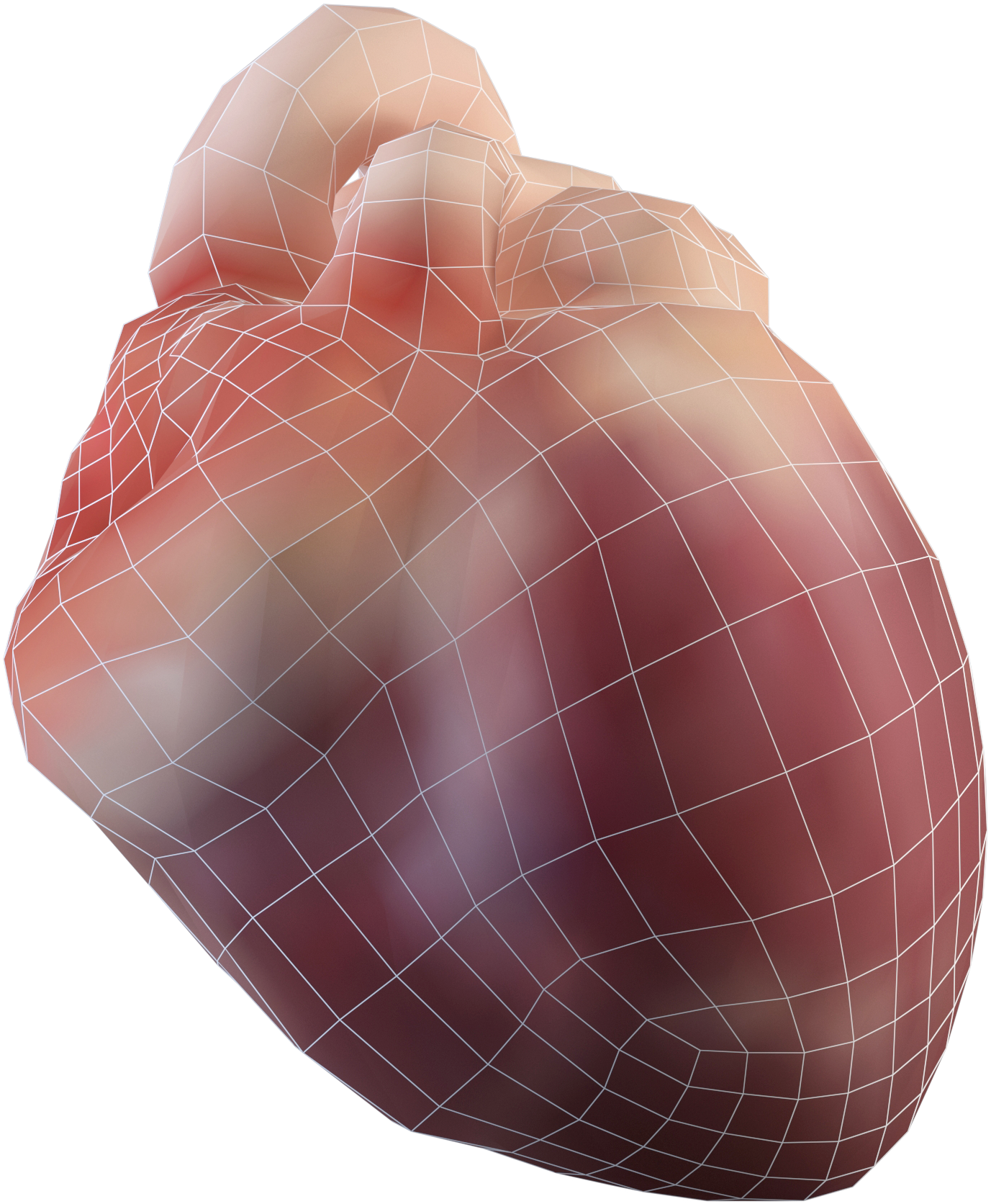 Georg Slavka - Squash (2000x2000), Png Download