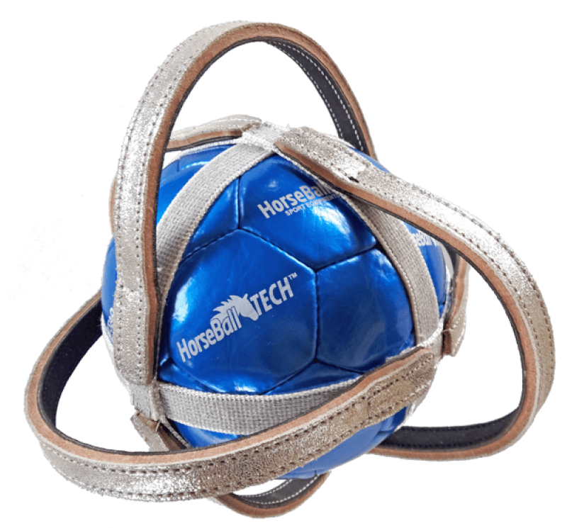 Horse-ball Competition Ball "ponte De Lima" - Handbag (800x800), Png Download
