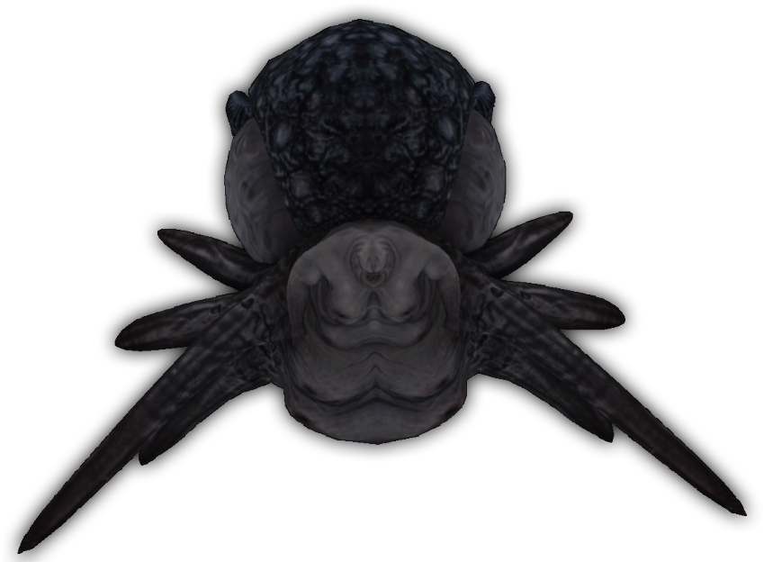 Broodmother Ari - Octopus (904x650), Png Download