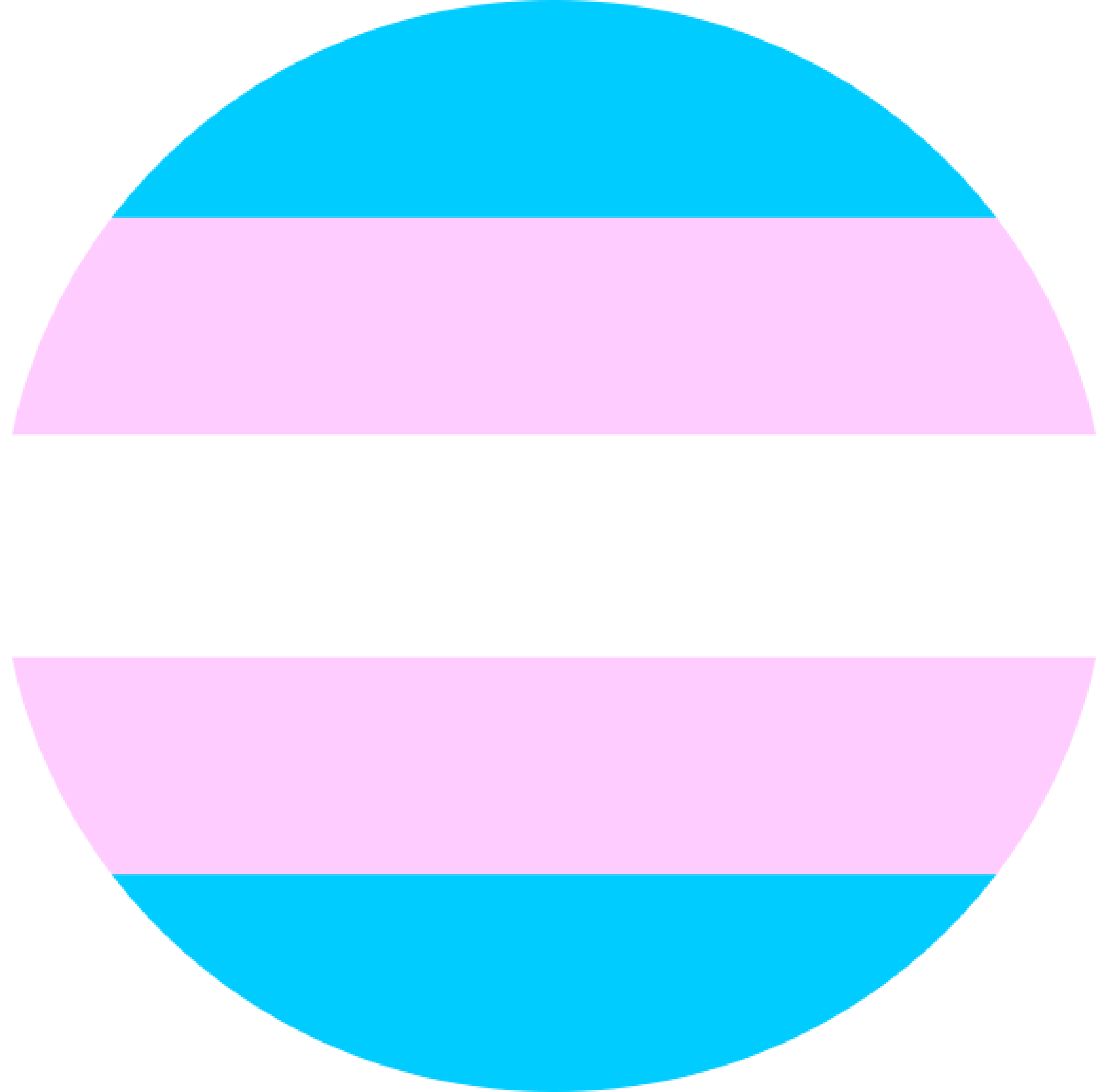 Transgender - Circle (2435x2400), Png Download