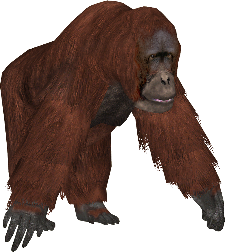 Gorillas Chimpanzee And Orangutan (834x834), Png Download