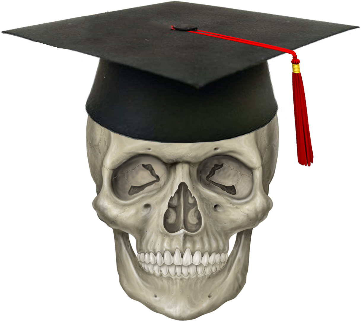 Cap & Skull - Skeleton Head Png (1440x1440), Png Download