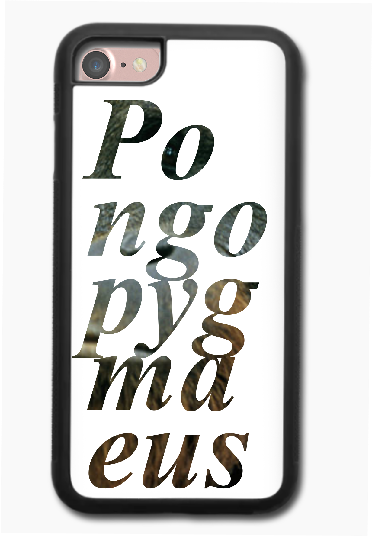 Orangutan - Mobile Phone Case (5126x1923), Png Download