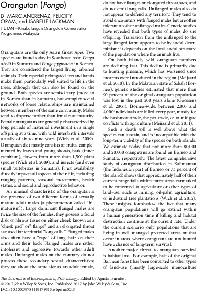 Pdf - Folio Nine From Burchard Of Sion's De Locis Ac Mirabilibus (595x842), Png Download