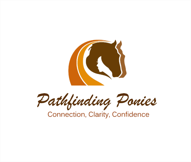 It Was Been A Fantastic Year For Us At Pathfinding - Wings Air (800x676), Png Download