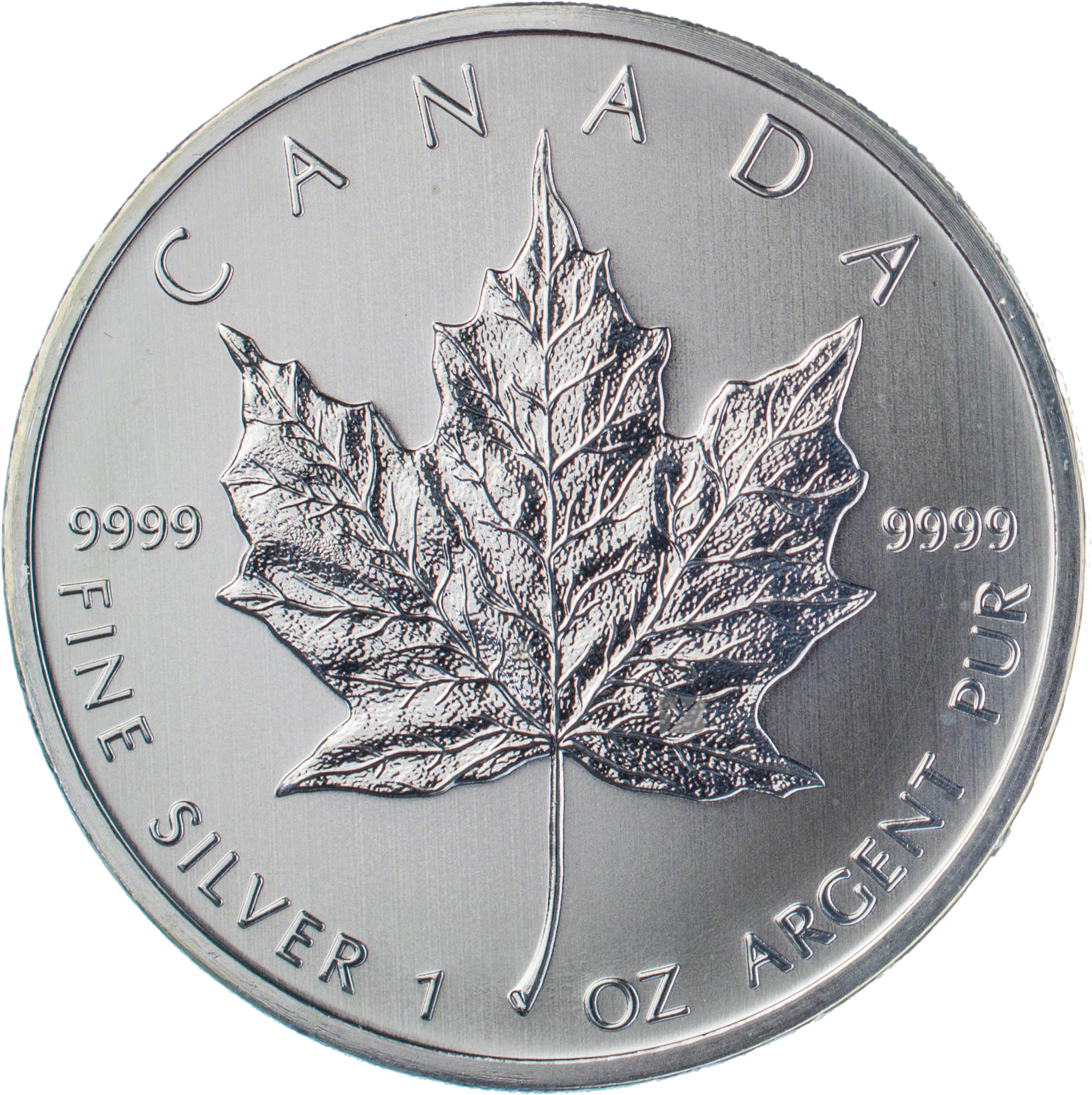 Canadian Silver Maple - Cash (2400x2400), Png Download