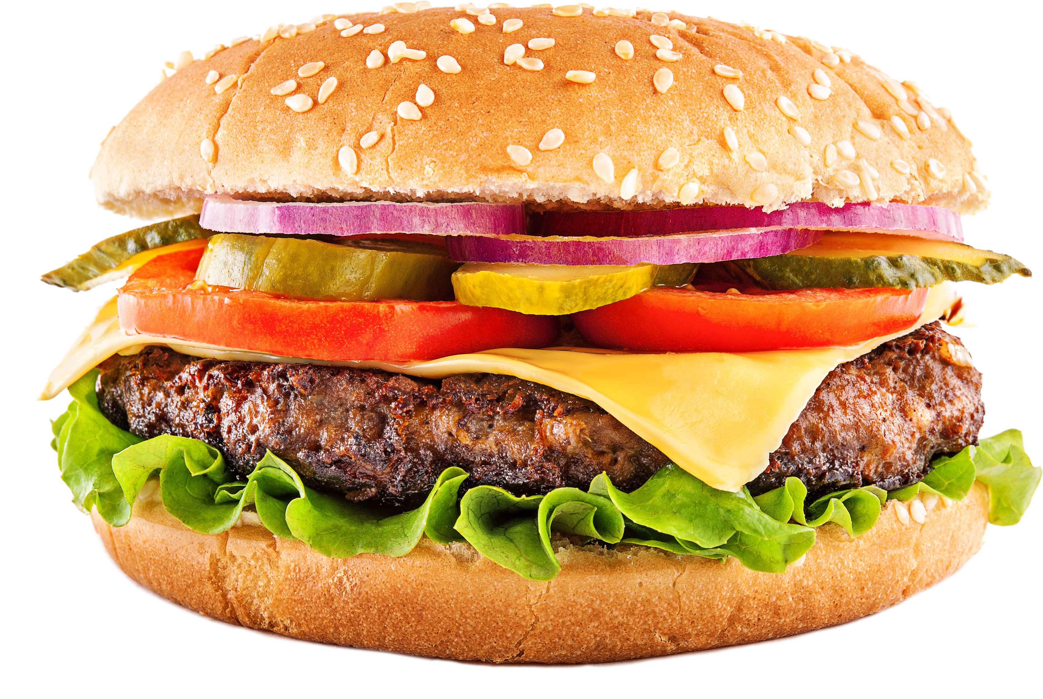 Hot Sandwiches - Bacon Avocado Hamburger Png (4256x2832), Png Download