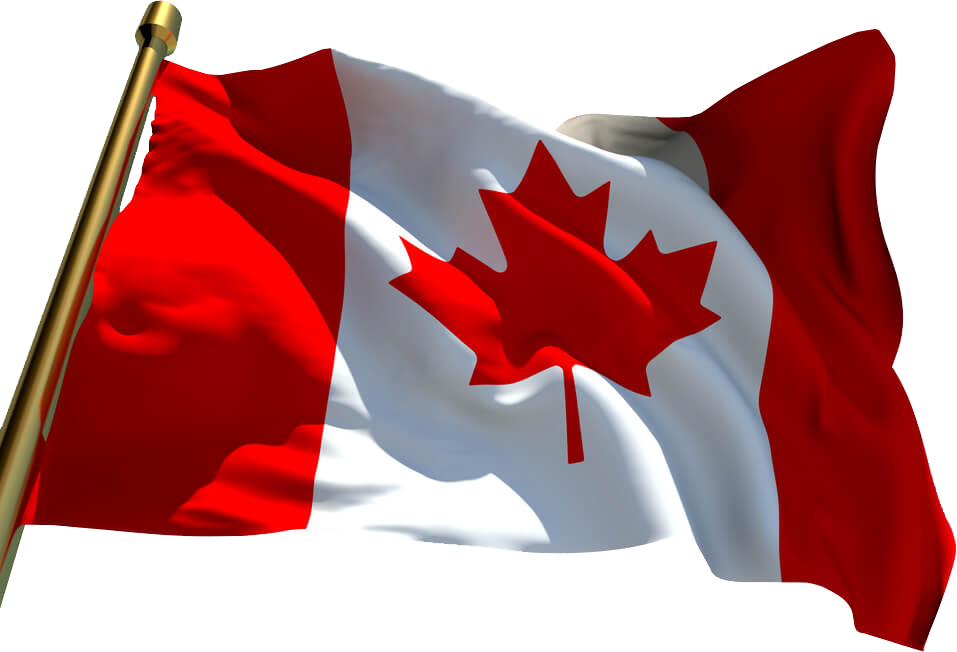 Download Canadian Citizenship Test Waiving Flag
