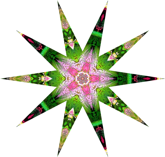 The Star Can Be Of Two Types - Illustration (648x621), Png Download