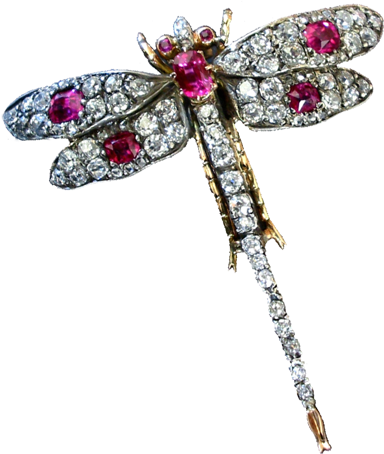 807 X 943 2 - Insect Jewellery (807x943), Png Download
