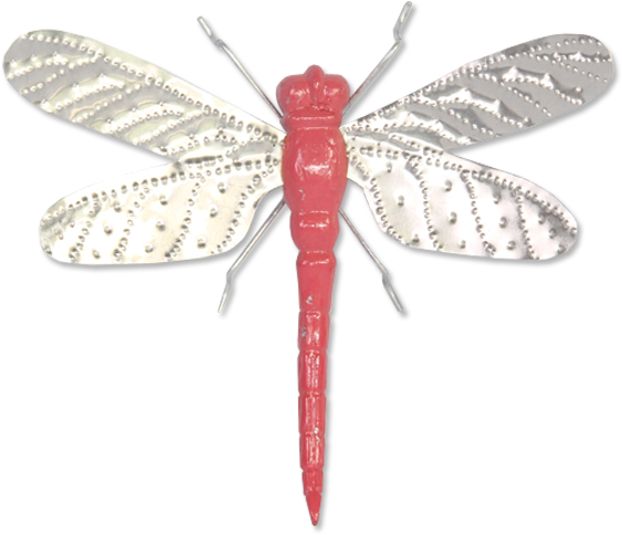 600 X 600 8 - Dragonfly (600x600), Png Download