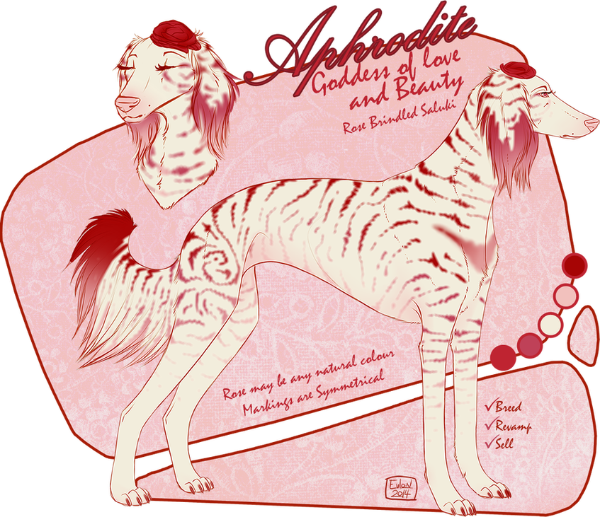 Dog Licks (847x731), Png Download