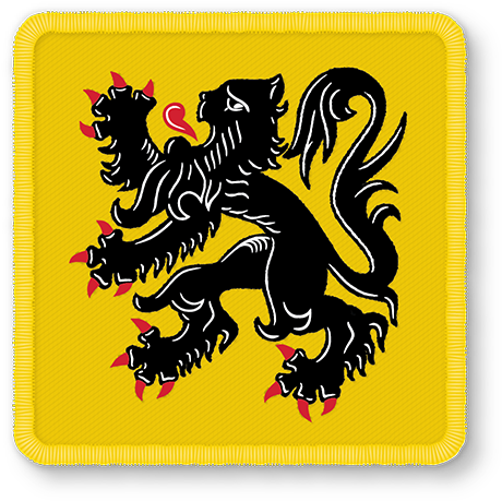 Lion Patch Sm - Leon Flandes (750x750), Png Download