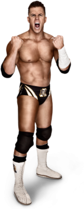 Alex Riley Full - Alex Riley (400x910), Png Download
