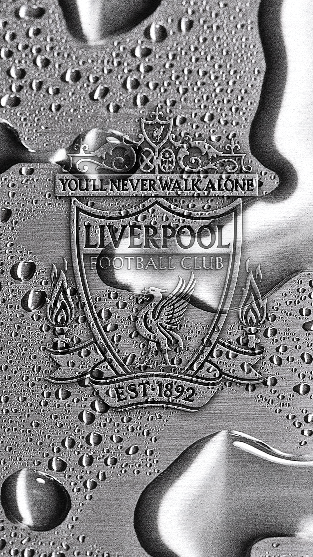Silver Hd Wallpaper Iphone (1080x1920), Png Download