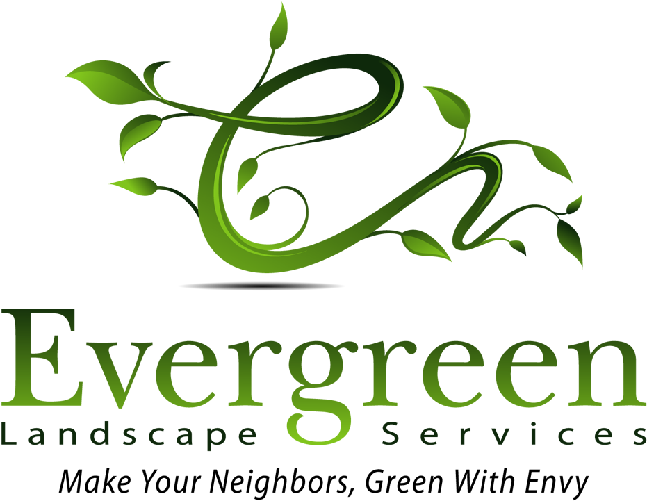Clipart Free Stock Evergreen Design To Make Your Neighbors - Quest Diagnostics (1000x789), Png Download