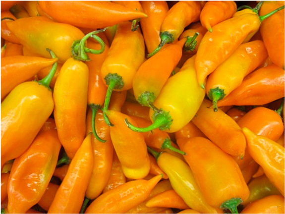 Aji Zanahoria - Aji Pepper (800x487), Png Download