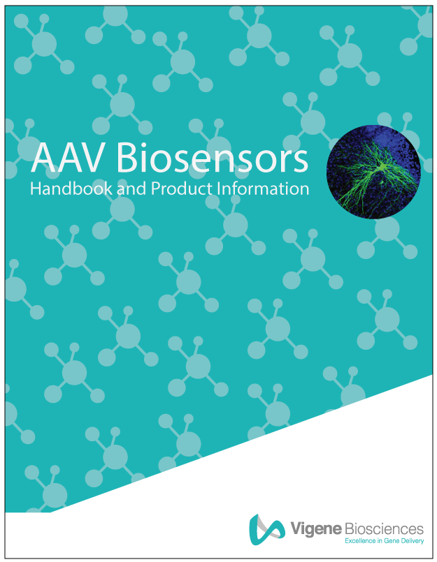 Download Protocols Circle Full Size PNG Image PNGkit