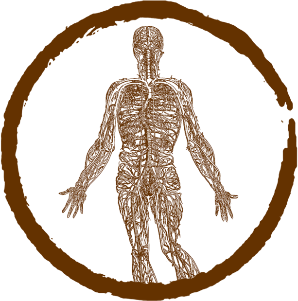 Nervous System Rebalance For Chronic Stress Santa Cruz (1000x618), Png Download