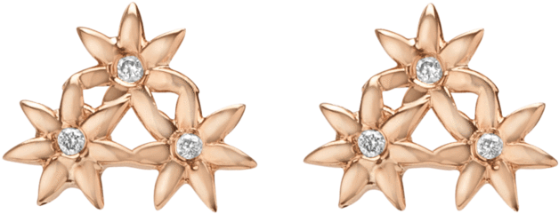 Earrings (1024x1024), Png Download