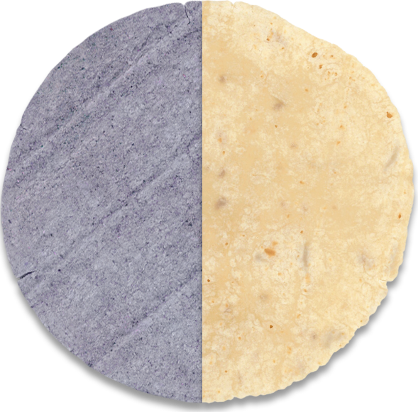 Corn Tortilla (589x581), Png Download