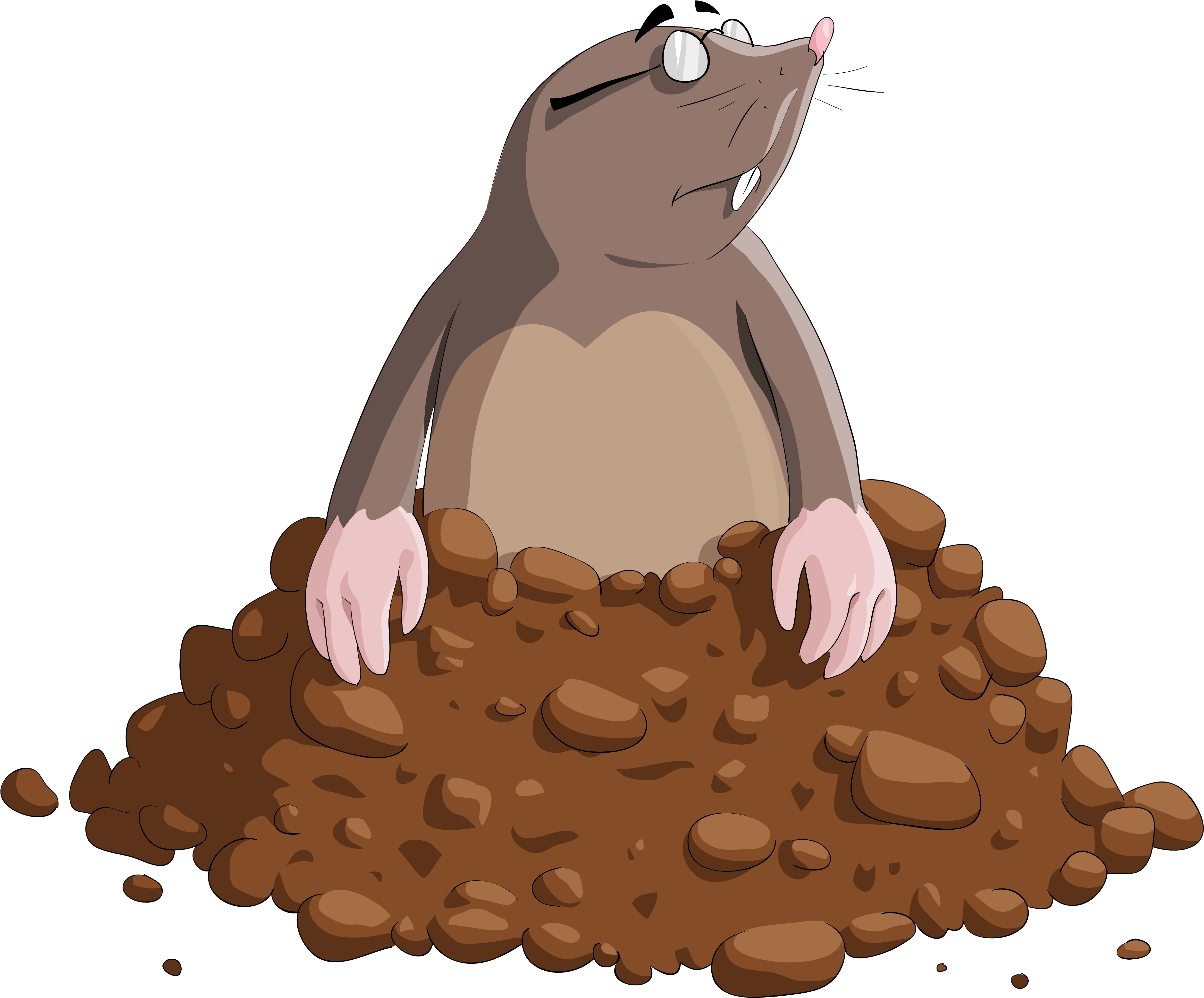 Mole Cartoon Png Clipart Image - Mole Clipart (5092x4247), Png Download
