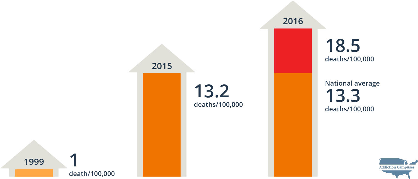 Com Michigan Opioid Related Deaths - Addiction Campuses (1460x618), Png Download