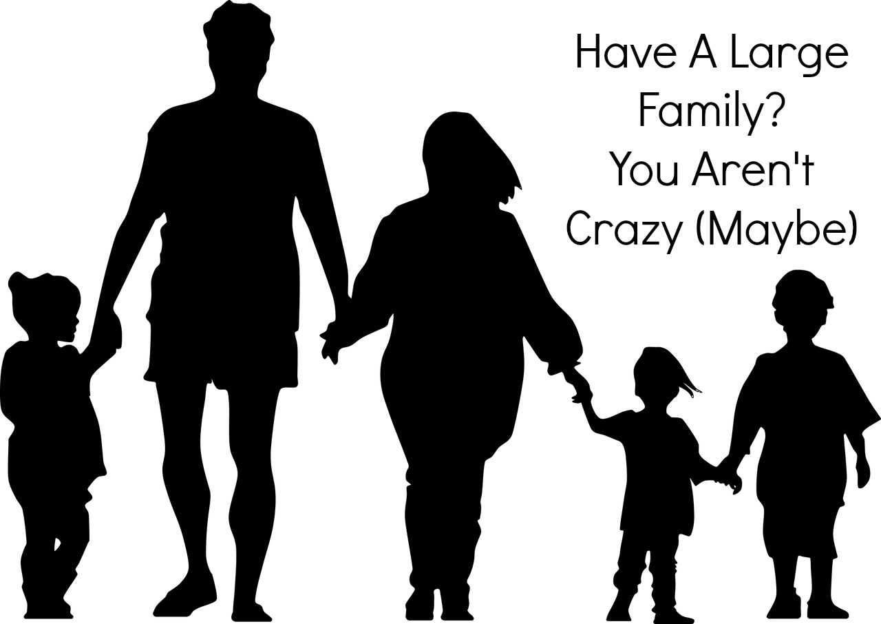 Your Arenu0027t Crazy - Family Silhouette Baby Png (1280x906), Png Download