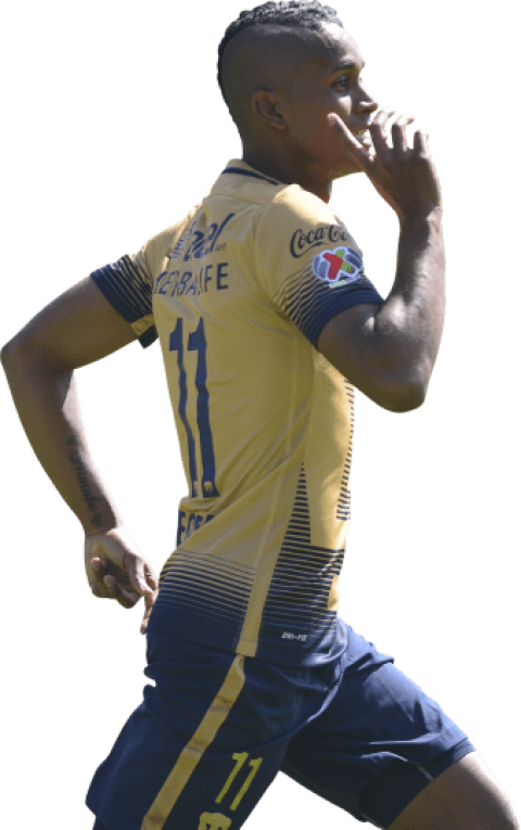 Free Png Download Fidel Martinez Png Images Background - Player (480x765), Png Download